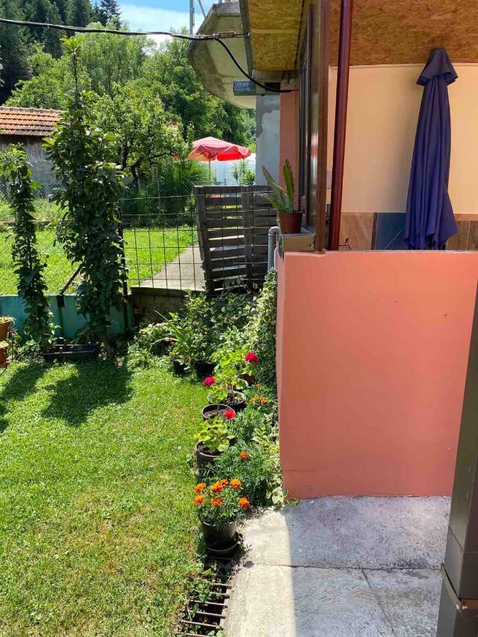 Apartament Joca Bajina Basta Zewnętrze zdjęcie