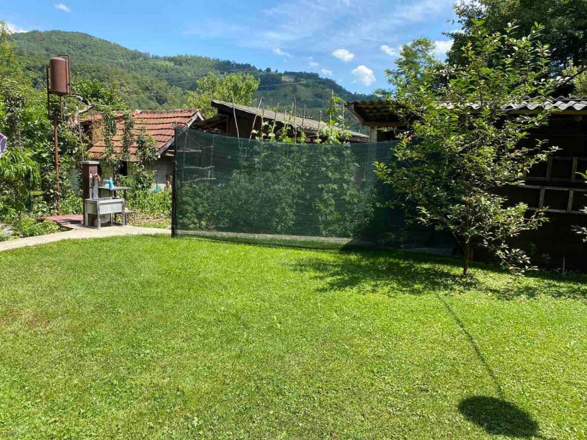 Apartament Joca Bajina Basta Zewnętrze zdjęcie