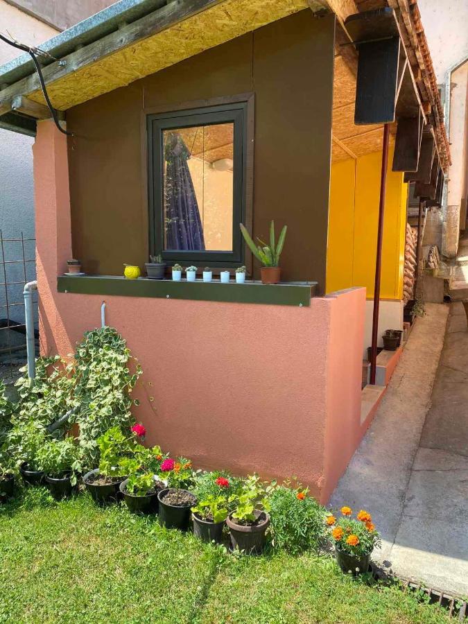 Apartament Joca Bajina Basta Zewnętrze zdjęcie