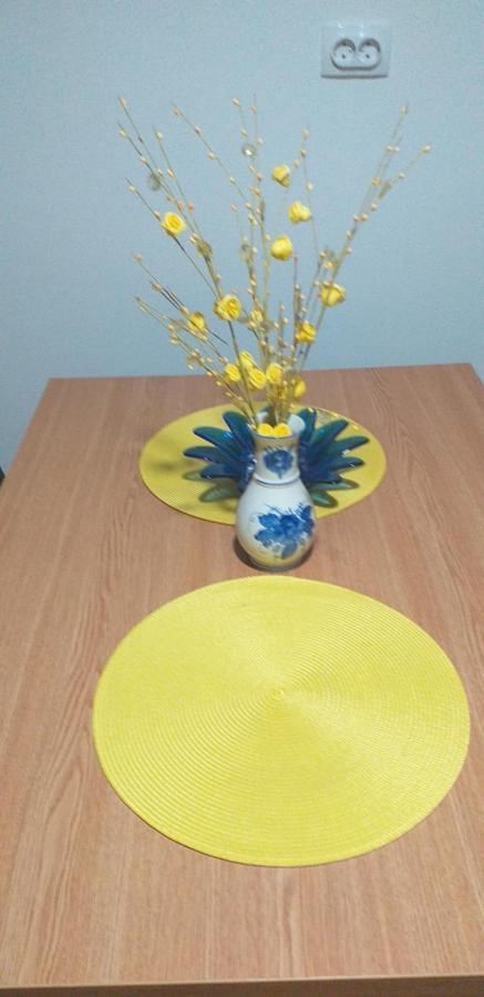 Apartament Joca Bajina Basta Zewnętrze zdjęcie