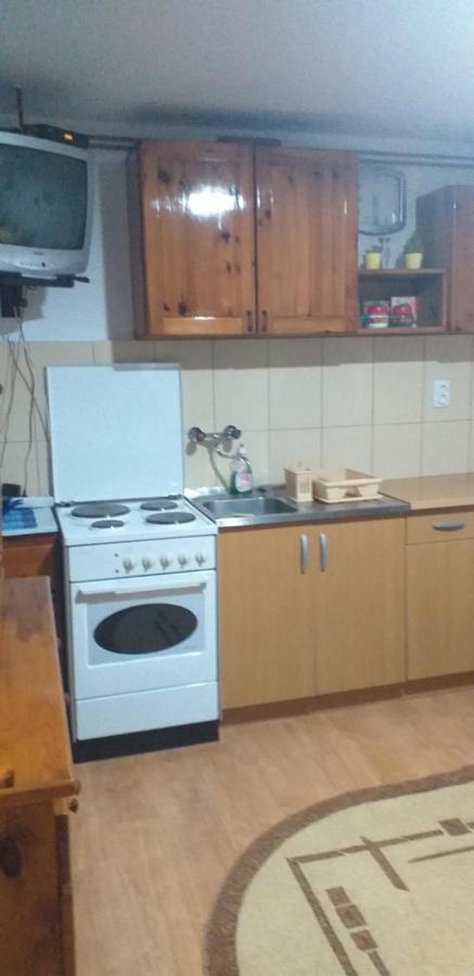 Apartament Joca Bajina Basta Zewnętrze zdjęcie