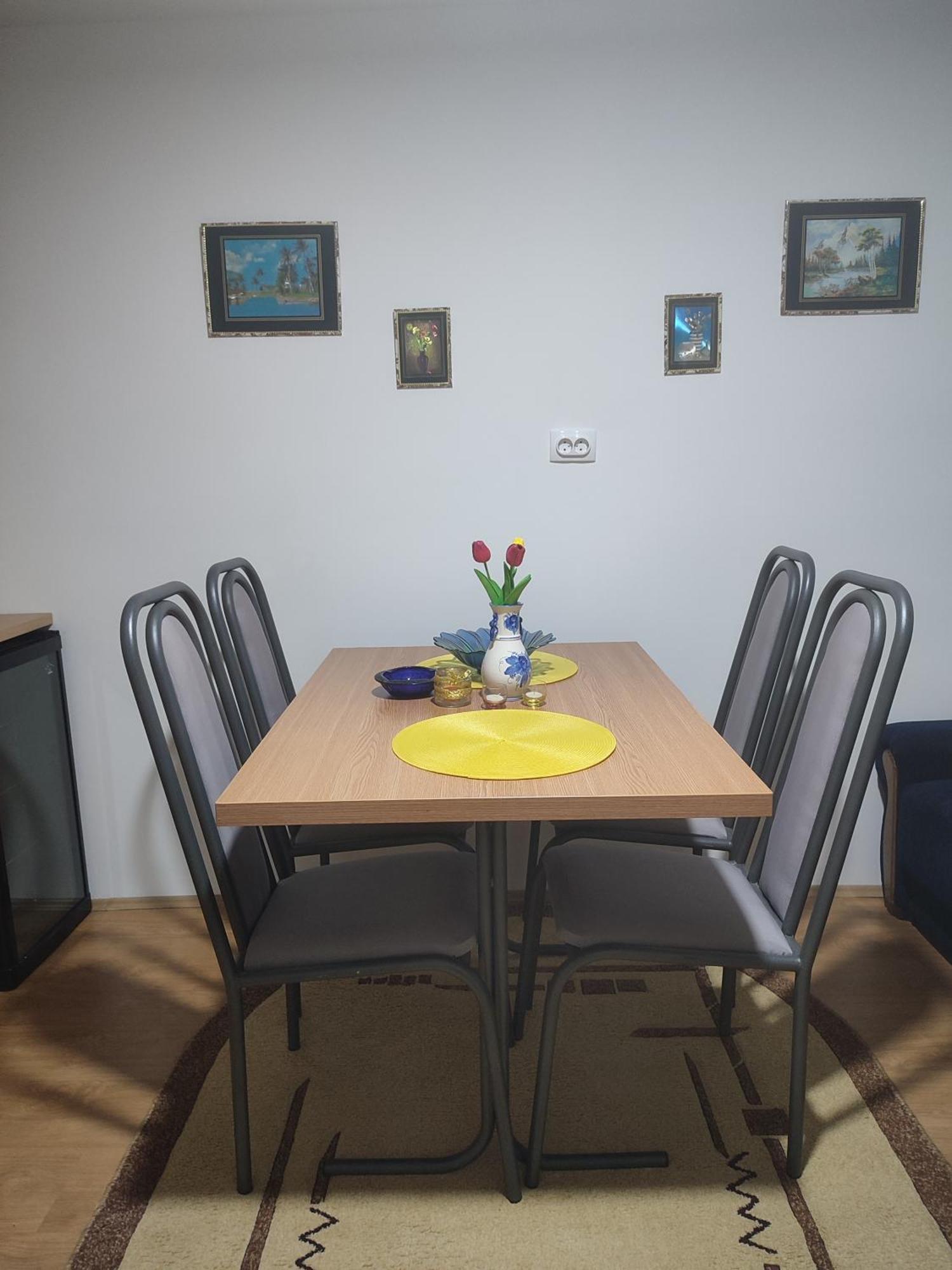 Apartament Joca Bajina Basta Zewnętrze zdjęcie