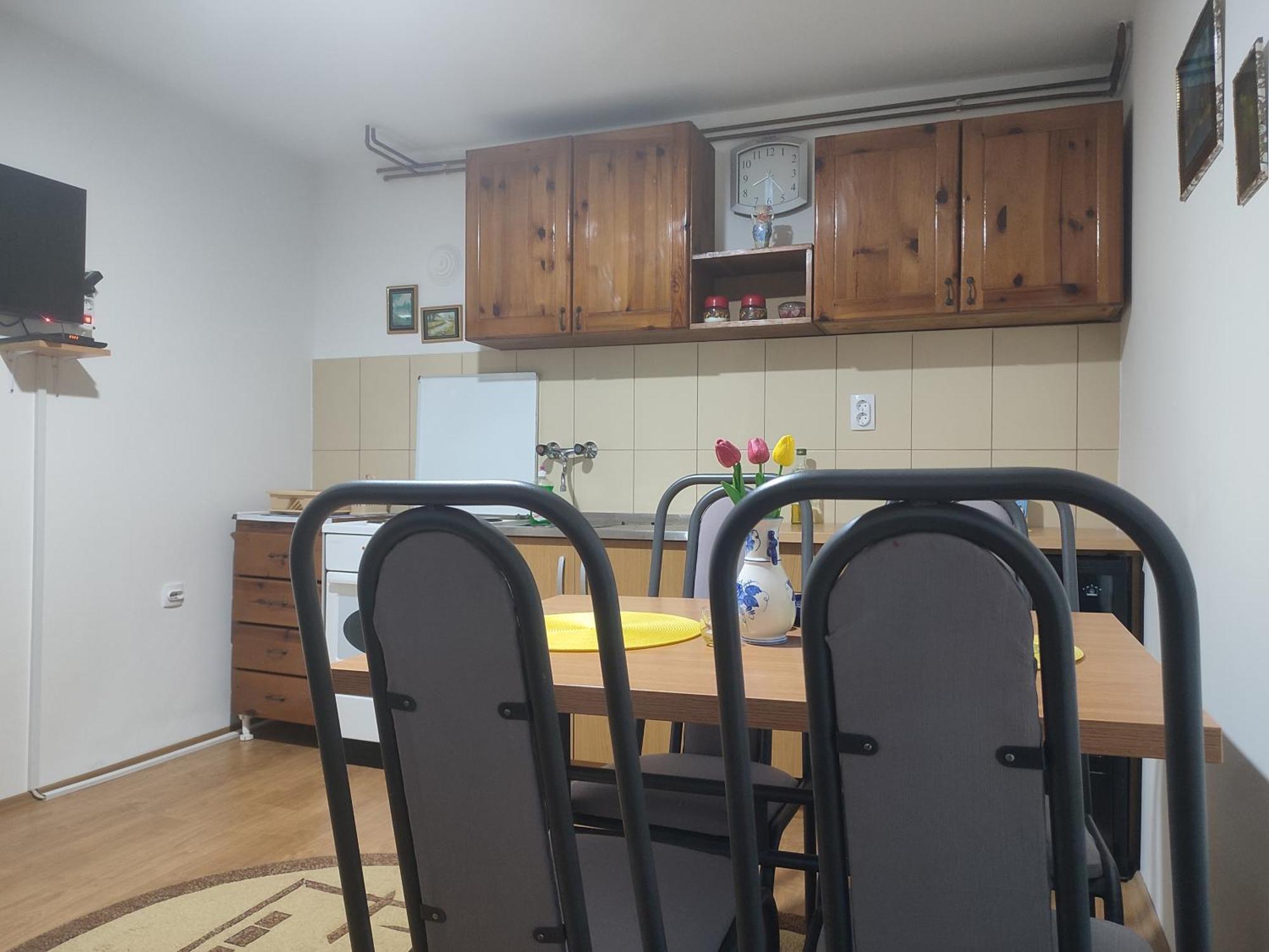 Apartament Joca Bajina Basta Zewnętrze zdjęcie