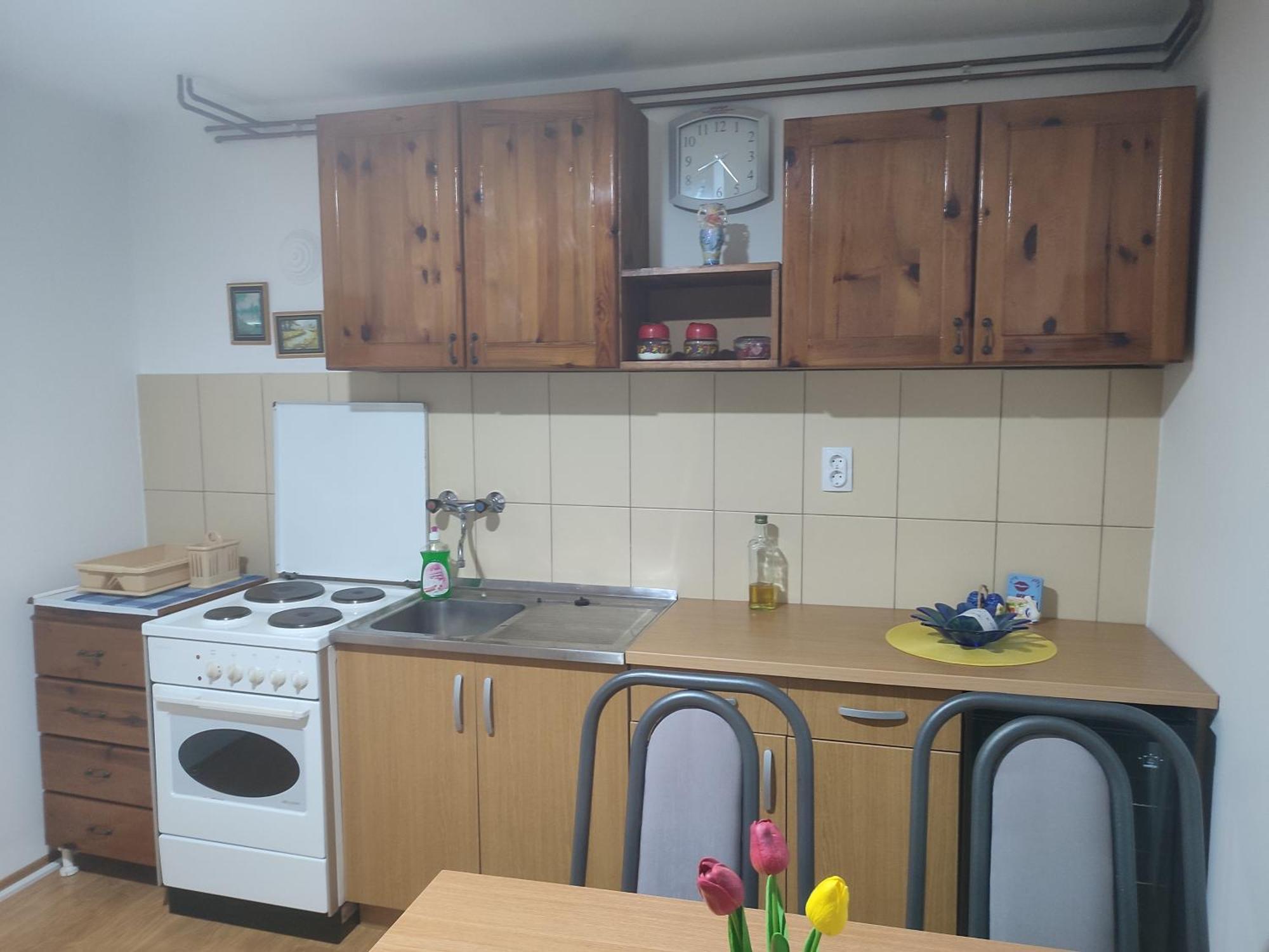 Apartament Joca Bajina Basta Zewnętrze zdjęcie