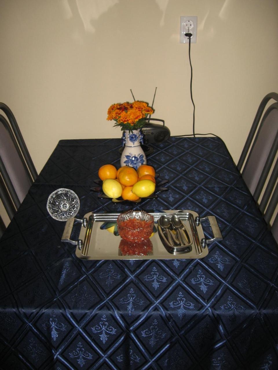 Apartament Joca Bajina Basta Zewnętrze zdjęcie