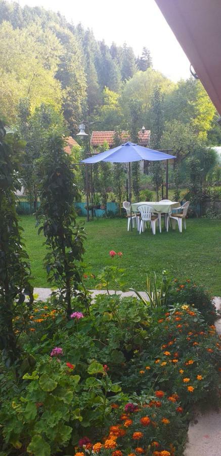 Apartament Joca Bajina Basta Zewnętrze zdjęcie